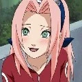 HLV-Sakura