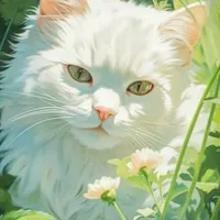 Hệ thống 007- Đại Bảo