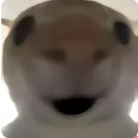 Tác giả :)))) 