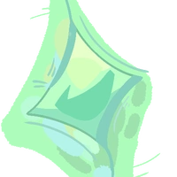 vee version1