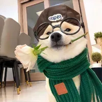 Như ý