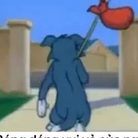 ? ? ? 