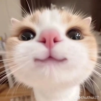 all trừ ai thì trừ