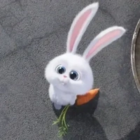 Snowball- Hệ Thống