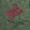 ||Tác giả||