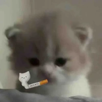 tôi yêu Caprhy