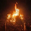 Nhân vật không đáng nói