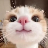 t/giả : Jully 🧸