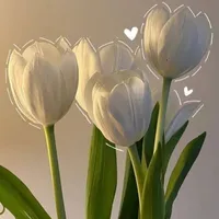 ✦All Nhân Vật Phụ✦
