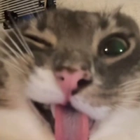 T/G
