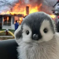 𝐌𝐞𝐢𝐫𝐮 [𝐓/𝐠]