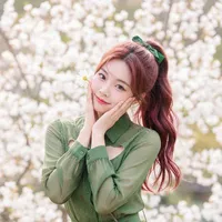 Nam Thanh Hàn cháu út Họ Nhà Nam