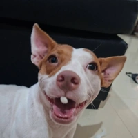 t/g đẹp zai lv là t.o