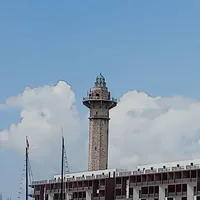 t/g 