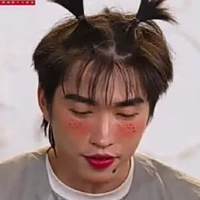 t/g si đa