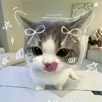 Mèo Ngáo