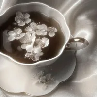 All( trừ ai thì trừ)