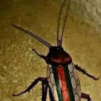 Gían giàu nhất thế giới