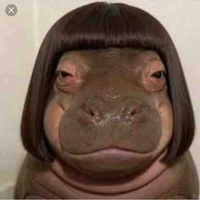 tác giả chao xìn