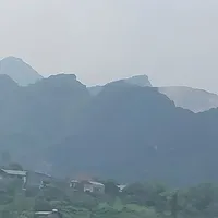 Tác giả