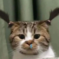 Stw`nie