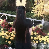 t/g EmBin🐑🦦 ( Hệ Thống )