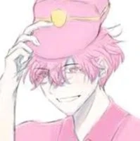 Hiha police