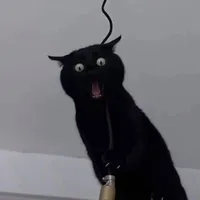 Chao Dragon