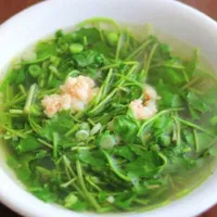 Các Nhân vật xàm