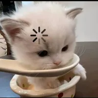 ?