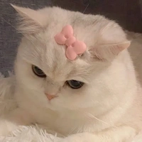 Hệ Thống_Suchi