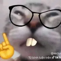 t/g