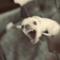 Lý Thanh