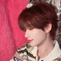 Đinh Trình Hâm.