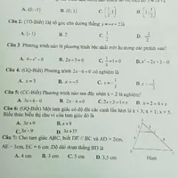 TG/ cừu nhỏ