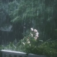 cả lớp