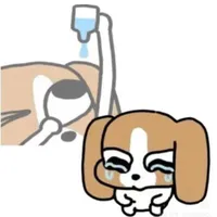 Vu Ái Ni