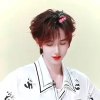 Hạ Tuấn  Lâm