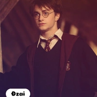 Harry Potter