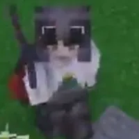 vetdark
