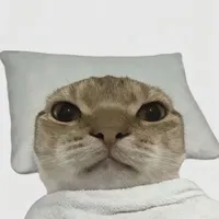 meomeo