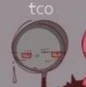 TCO(top)