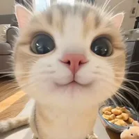 Hệ thống 13