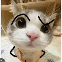 Tác Giả