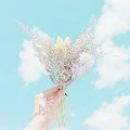 All mọi người⊂((・▽・))⊃