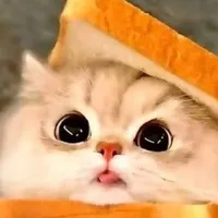 tác giả