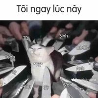 all-những người có mặt