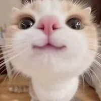 tg bốngg