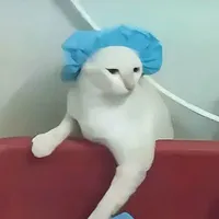 T/g