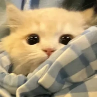 tớ là Miu